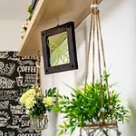 Solis C Lux Rooftop Studio With Panoramic Terrace